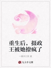 摄政王妃野翻天