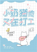 小奶猫他又在打工